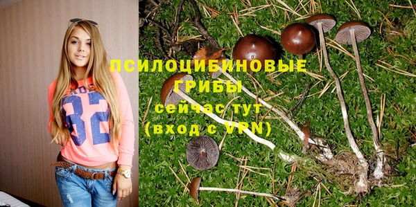 а пвп мука Куйбышев