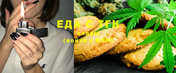 PSILOCYBIN Михайлов