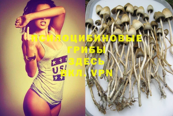 гашиш Ладушкин