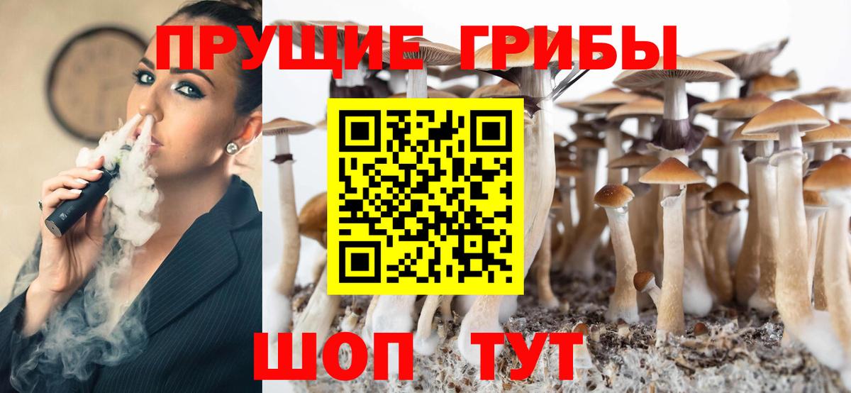 Галлюциногенные грибы MAGIC MUSHROOMS  Вход с VPN  Галлюциногенные грибы Psilocybine cubensis  Черемхово 
